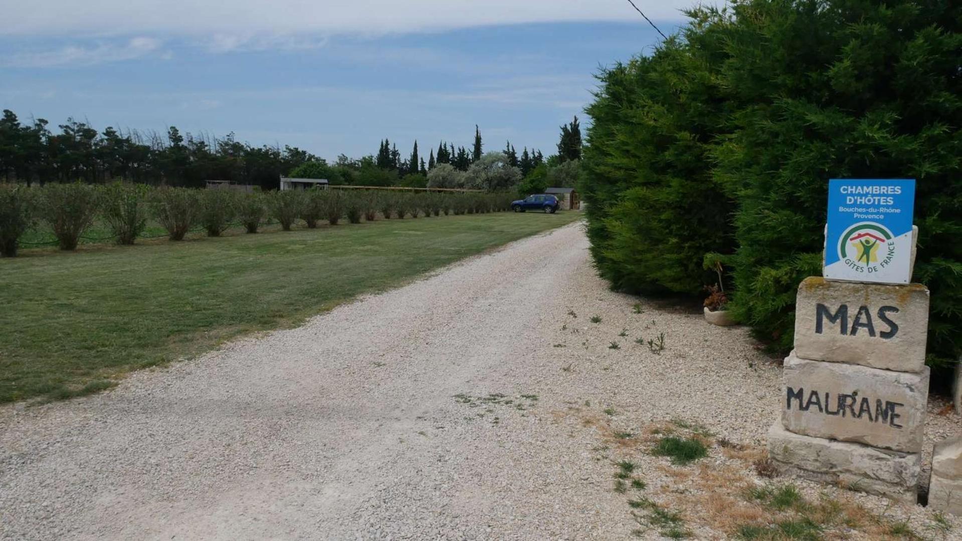 Mas Maurane - Le Romarin Aux Portes D'Arles タラスコン エクステリア 写真